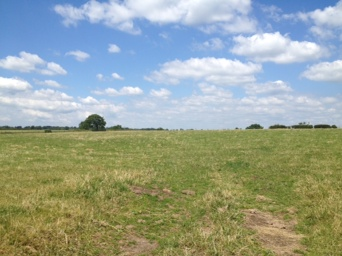 Fantastic view from Moor Farm