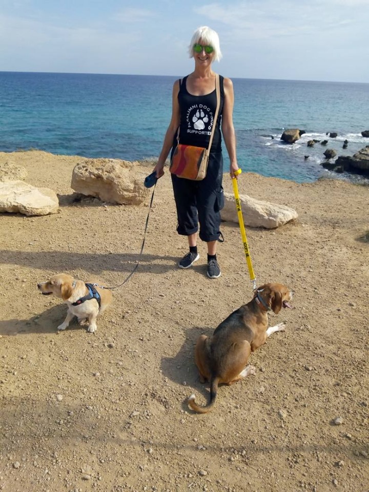 Paralimni Charity Dog Walk Cyprus