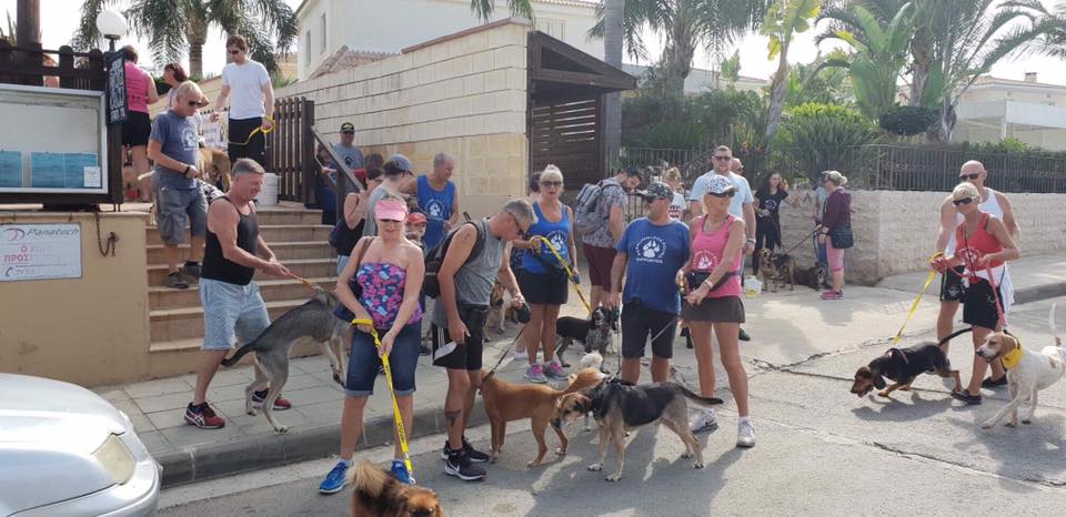 Paralimni Charity Dog Walk Cyprus